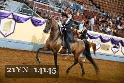 21YN_14145 thumbnail