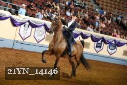 21YN_14146 thumbnail
