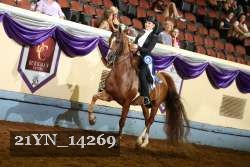 21YN_14269 thumbnail