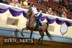 21YN_14275 thumbnail