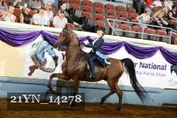 21YN_14278 thumbnail