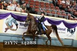 21YN_14288 thumbnail