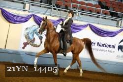 21YN_14405 thumbnail