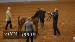 21YN_59940 thumbnail