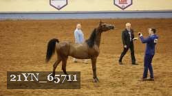 21YN_65711 thumbnail