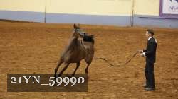 21YN_59990 thumbnail
