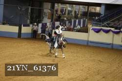 21YN_61376 thumbnail