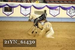 21YN_61430 thumbnail