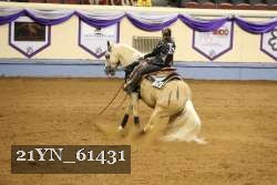 21YN_61431 thumbnail