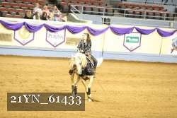21YN_61433 thumbnail