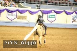 21YN_61440 thumbnail