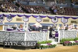 21YN_61442 thumbnail