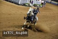 21YN_61460 thumbnail