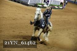 21YN_61462 thumbnail