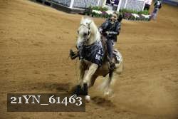 21YN_61463 thumbnail
