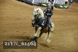 21YN_61464 thumbnail