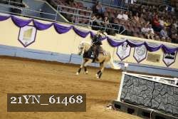 21YN_61468 thumbnail