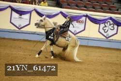 21YN_61472 thumbnail
