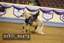 21YN_61473 thumbnail