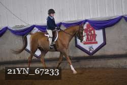 21YN_67233 thumbnail