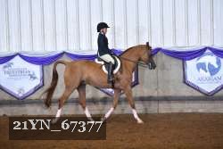 21YN_67377 thumbnail