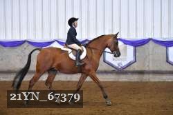 21YN_67379 thumbnail
