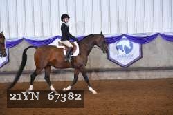 21YN_67382 thumbnail