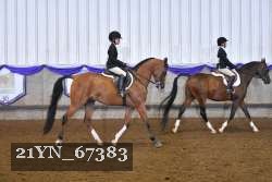 21YN_67383 thumbnail