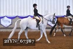 21YN_67387 thumbnail