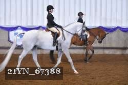 21YN_67388 thumbnail