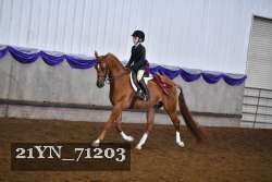 21YN_71203 thumbnail
