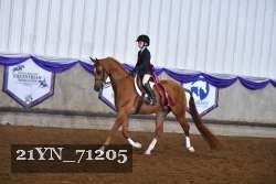 21YN_71205 thumbnail