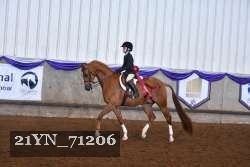 21YN_71206 thumbnail