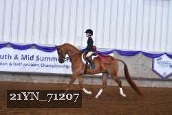 21YN_71207 thumbnail
