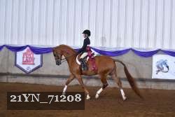 21YN_71208 thumbnail