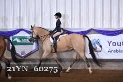 21YN_60275 thumbnail