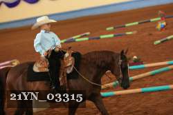 21YN_03315 thumbnail