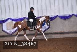 21YN_38467 thumbnail