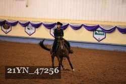 21YN_47256 thumbnail