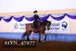 21YN_47277 thumbnail