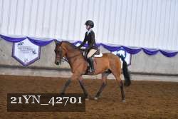 21YN_42701 thumbnail