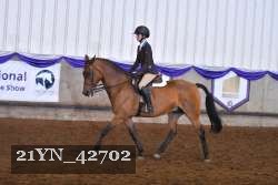 21YN_42702 thumbnail