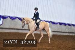 21YN_42703 thumbnail