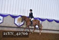21YN_42706 thumbnail
