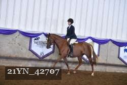 21YN_42707 thumbnail