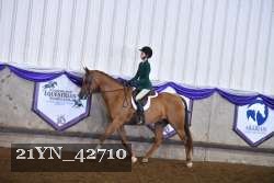 21YN_42710 thumbnail