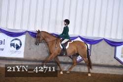 21YN_42711 thumbnail