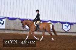 21YN_42712 thumbnail