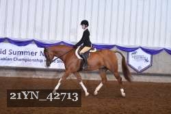 21YN_42713 thumbnail