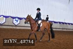 21YN_42714 thumbnail